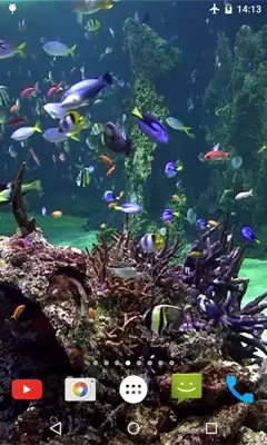 Aquarium 4K Video Wallpaper android App screenshot 0