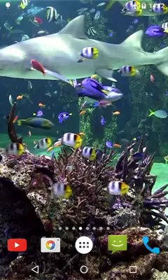 Aquarium 4K Video Wallpaper android App screenshot 1