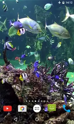 Aquarium 4K Video Wallpaper android App screenshot 2