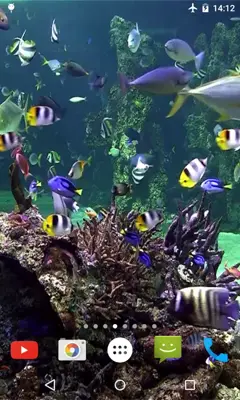 Aquarium 4K Video Wallpaper android App screenshot 3