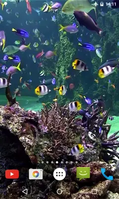 Aquarium 4K Video Wallpaper android App screenshot 4